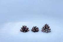 three pine cones in snow 