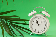 alarm clock and palm fronds 