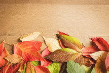 Border of red, orange, and green autumn leaves on a wood background with copy space
