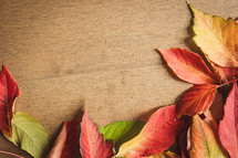 Border of red, orange, and green autumn leaves on a wood background with copy space