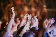 raised hands at a concert in Prague 
