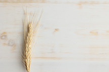 wheat grain on a wood background 