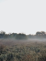 fog over a rural countryside 