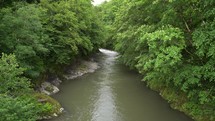 River in the green valley