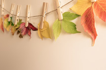 Colorful fall leaves on clothespins