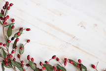 red berries on a white wood background 