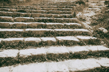 steps with grass growing in cracks at a ruins 