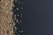 wheat grains border 