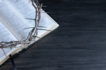 Partial crown of thorns laying on an open bible