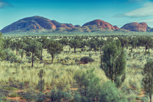 outback landscape in Australia 