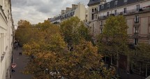 Paris Street with autumn trees