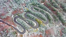 winding road and frost on trees in a forest 