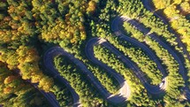 winding road through a summer forest 