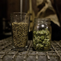 grains and herbs in glass jars