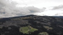 Aerial drone shot of a coniferous forest with a mountain hike trail.