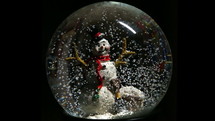 snow globe with a snowman 