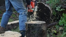 Man Chainsawing Fire Wood in a Garden in Ireland
