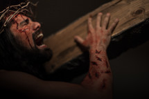 The suffering of Christ -- Jesus crying in pain while wearing His crown of thorns as He carries the cross.