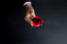 man holding a red rose 