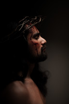 The suffering of Christ -- Jesus in His crown of thorns dying on the cross.