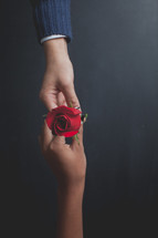 man giving a woman a long stem rose 