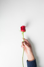 man holding a red long stem rose 