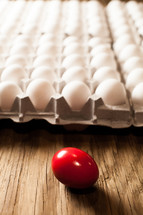 Cartons of white eggs with one red egg on a wood table.