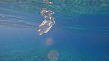 Plastic water bottle floating in an ocean.