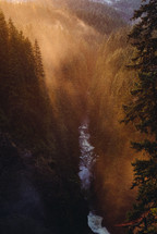 Wallace falls, waterfall, trees, spruce, forest, sunlight, water, outdoors, beauty, nature 