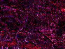 purple pink red painted texture