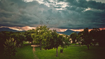 cloudy skies over an orchard in Korsika 