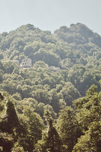 green forest and homes on a mountainside 
