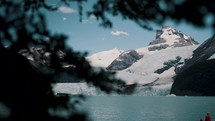 Tree Foliage Revealed Lago Argentino Glaciers In Patagonia, Argentina.