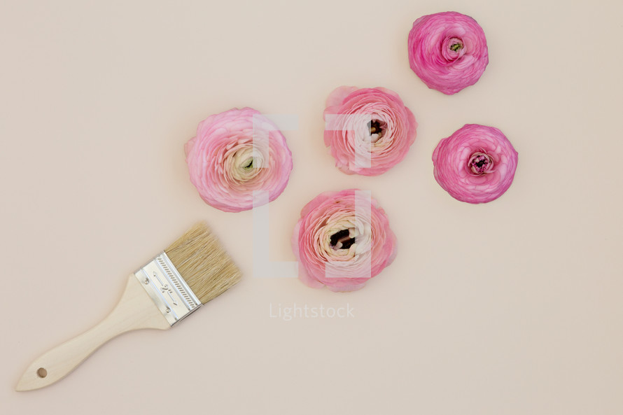 paint brush and pink peonies 