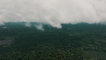 Aerial drone view of lush treetops of Amazon Jungle over cloudscape in Ecuador.