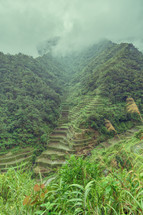 terraced field in Philippines 