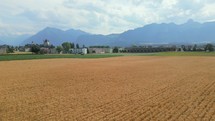 Aerial shot of a wheat field ready for harvest