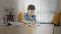 Young boy sitting at home preparing homework for school