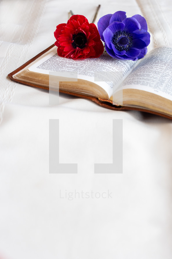 red and purple flowers on the pages of a Bible 