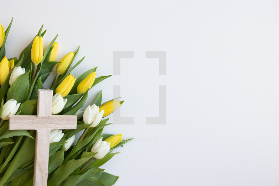 Cross on a bed of yellow and white tulips on white background 