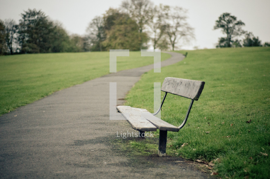 empty park bench in Meersbrook Park