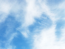 feathery clouds with soft blur - white on clear blue