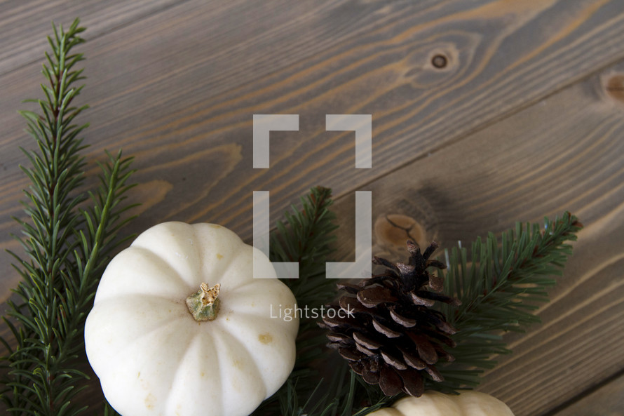 pumpkin and pine cone on wood background 