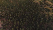 aerial view over a mountain forest 