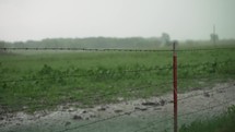 Flooding in field from heavy, dramatic, slow motion rain falling on green, summer or spring grass on rural America farmland. Rain waters crops and grass after drought in farming community.