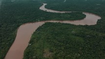 Aerial tilt up shot of the Amazon River in the jungle of South America.