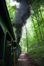 Smoky locomotive with passengers on scenic railway through forest