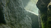 Moving Through a Small Underwater Gorge in County Dublin, Ireland
