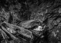 skeletons buried in logs