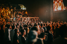 crowds at a concert 